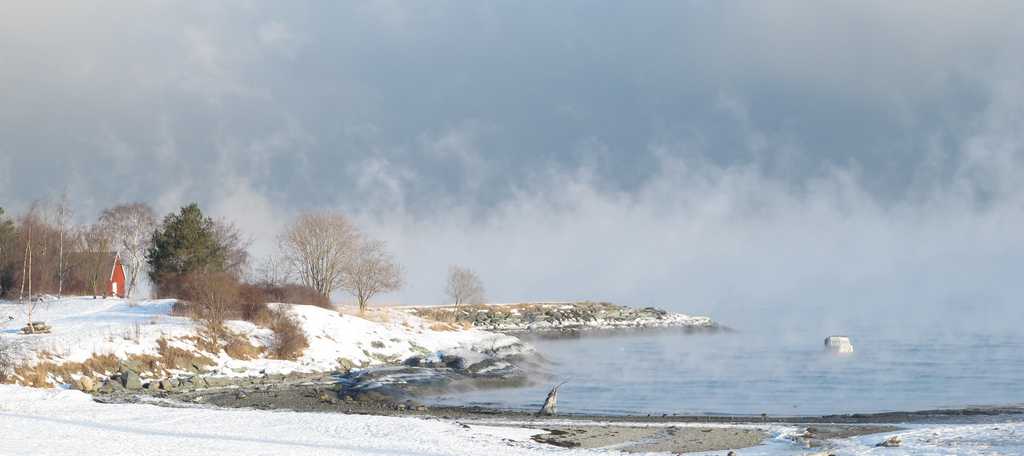 Foto: Nils Langeland (Rotvollfjæra)