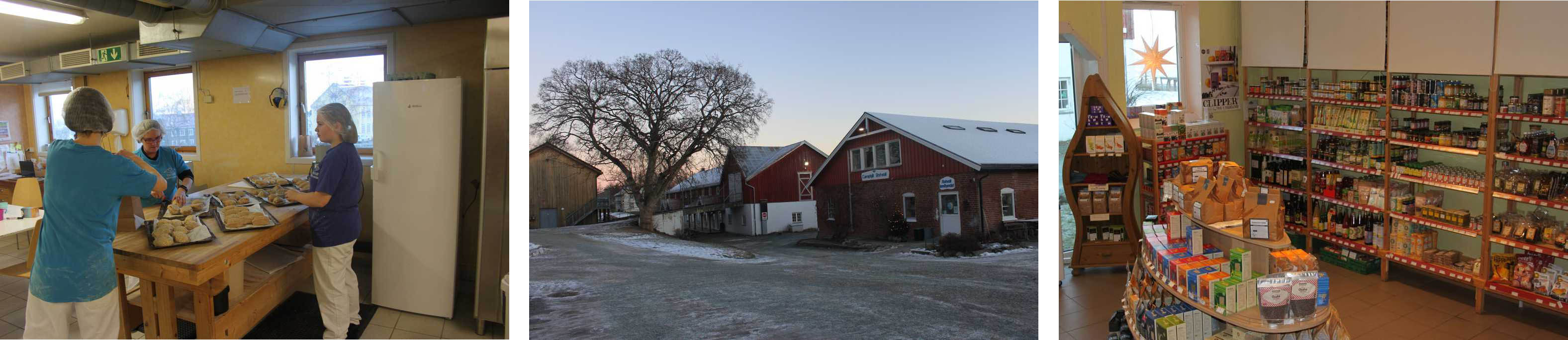 Camphill Rotvoll, Foto: Ragnhild Øines Frøseth