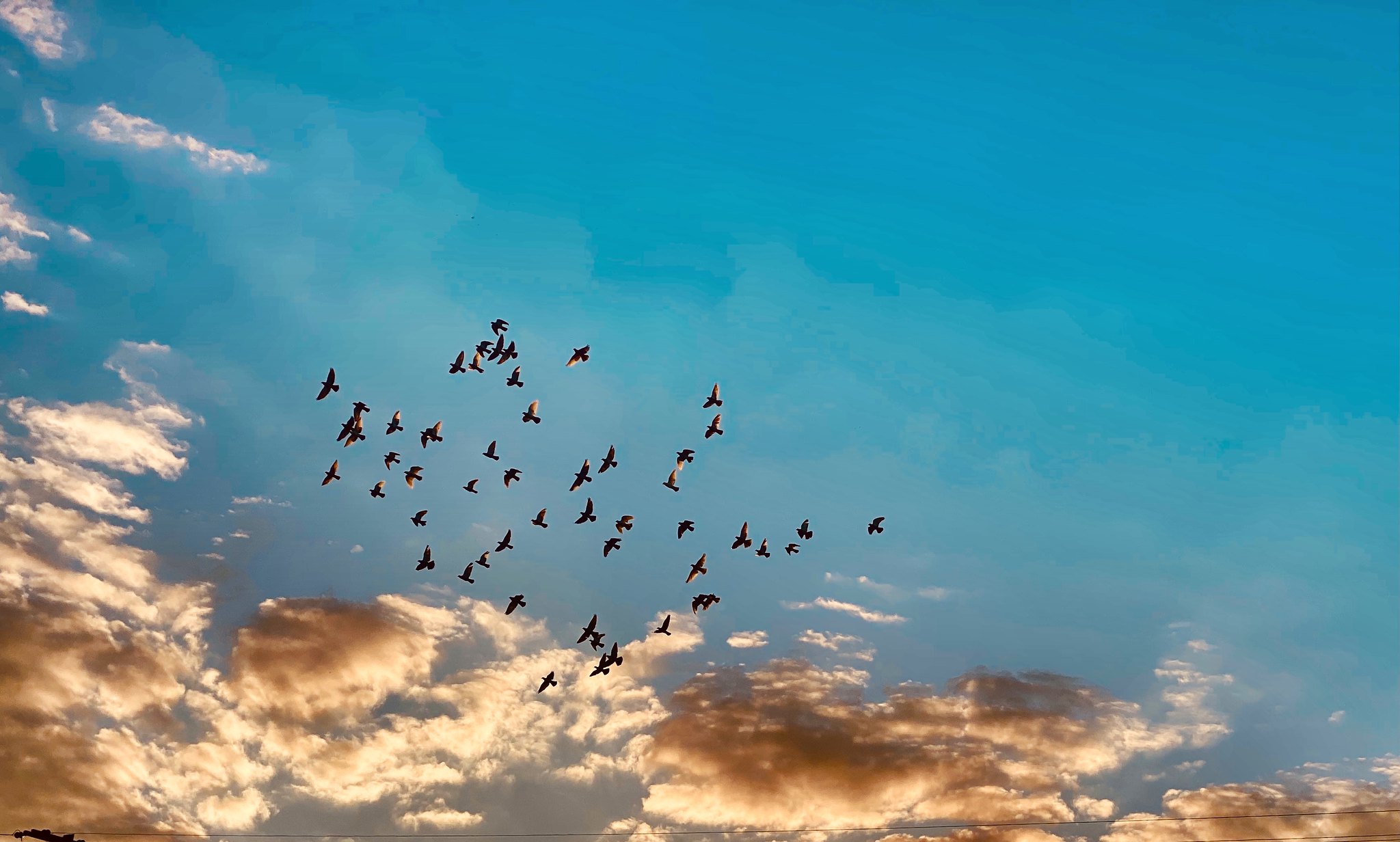 Foto: Amanda Coutinho, Flickr (CC: BY 2.0)