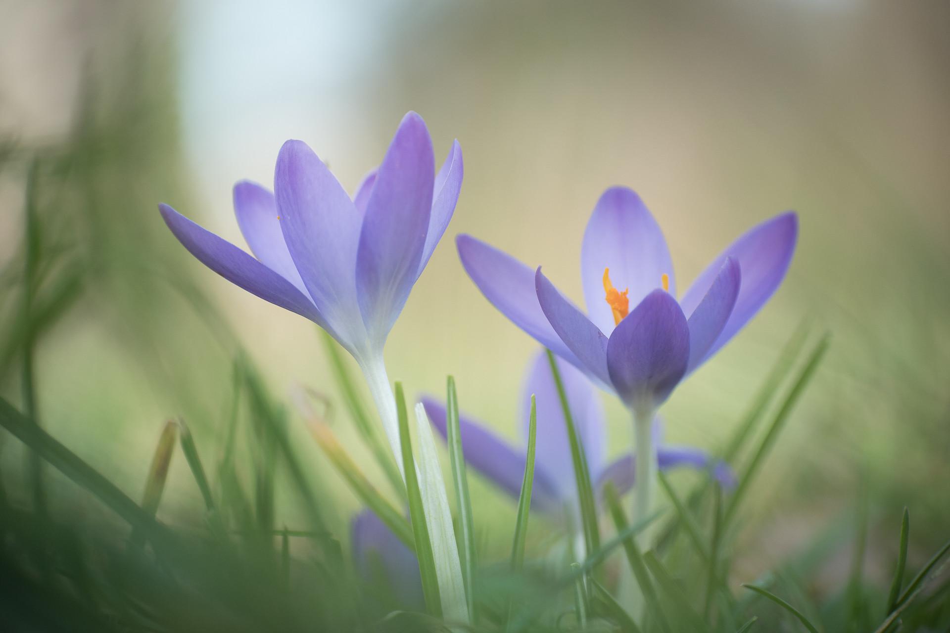 Foto: Anja Pietsch, Flickr (CC: BY 2.0)