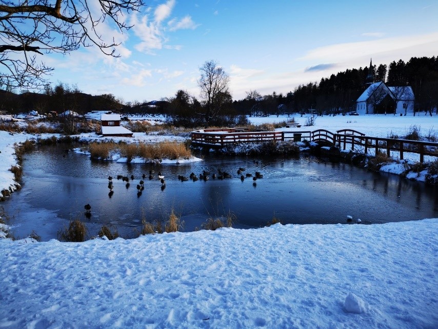 Foto: Ragnhild Øines Frøseth