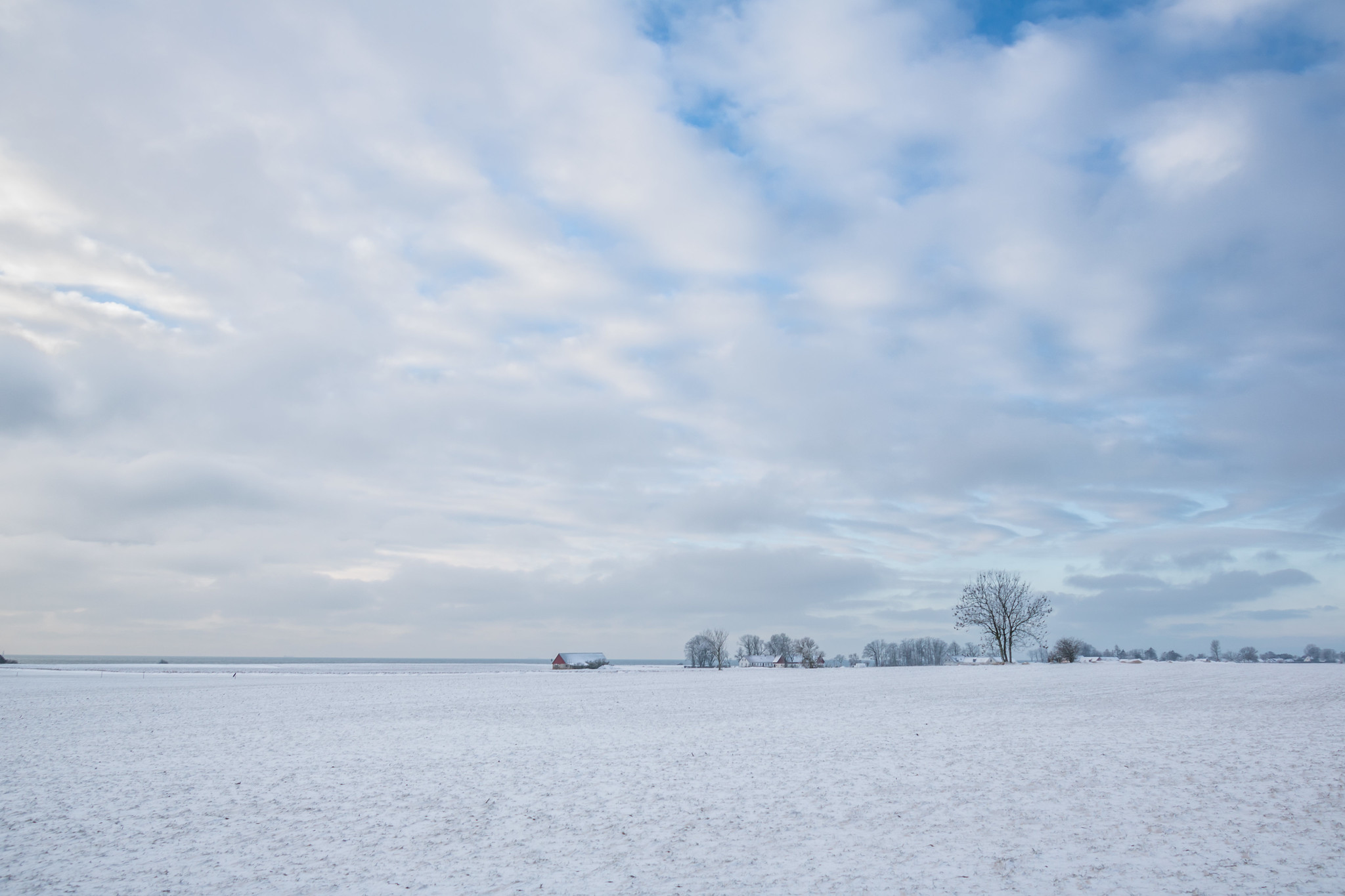 Foto: Susanne Nilsson, Flickr