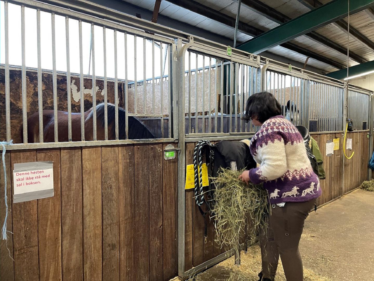 Pernille ordner i stallen. Foto: Rebecca Perez