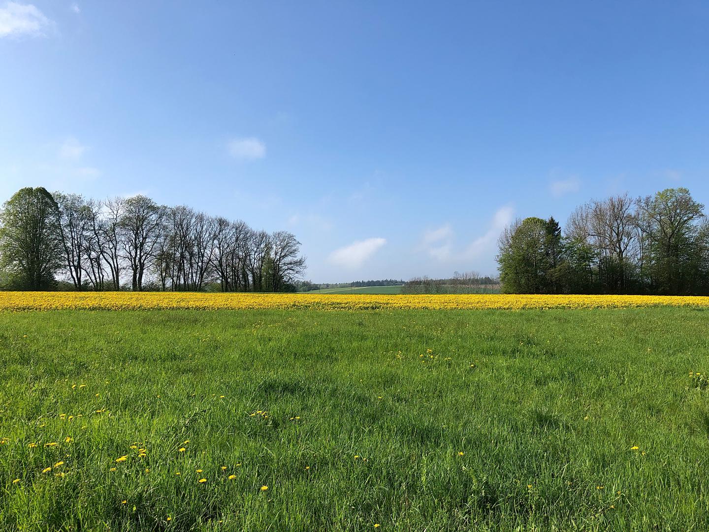 Foto: Rosmarie Voegtli, Flickr