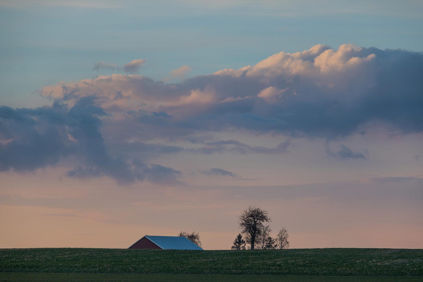 Susanne Nilsson, Flickr