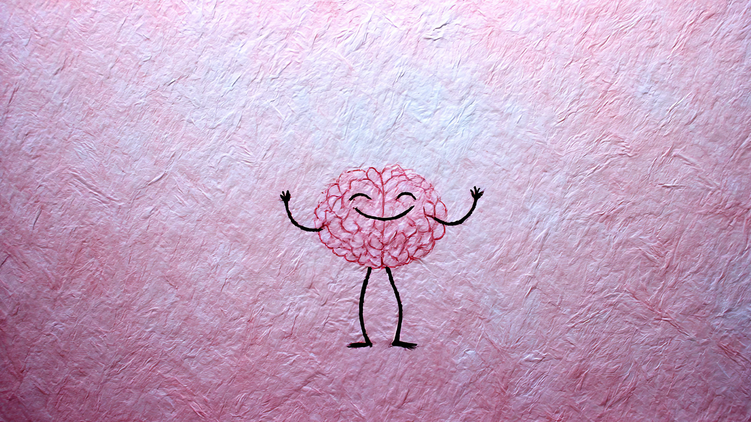 SOR Rapport 1 2026 2 2